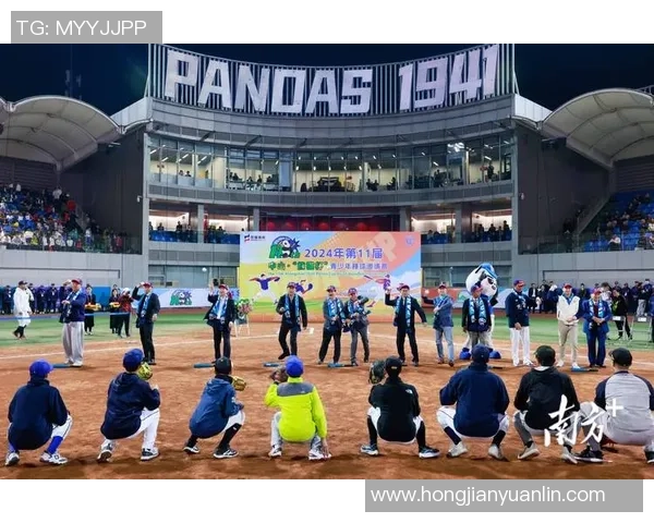 熊猫视角：探索本土联赛与运动员的独特故事与发展之路