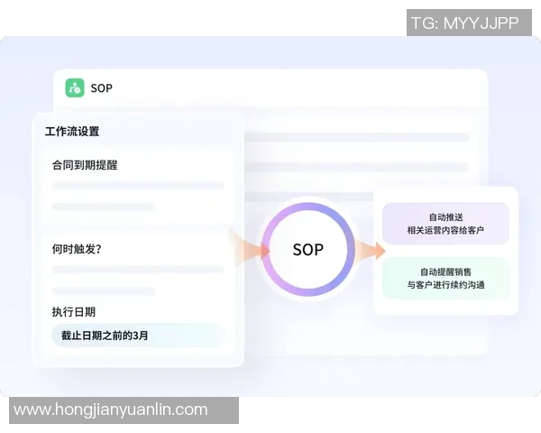 提升客户体验的电子邮件营销自动化策略个性化投注建议与优惠信息发送技巧